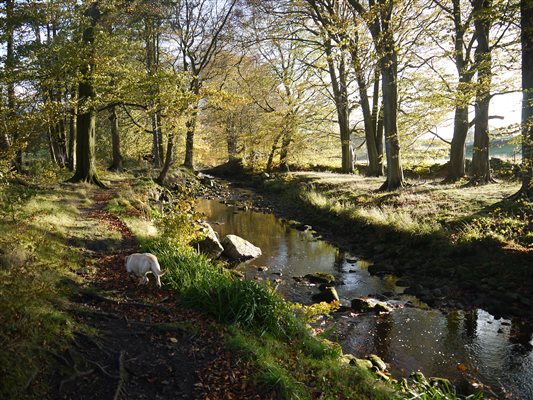 River Washburn